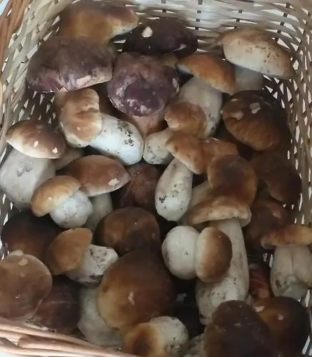 Vendégház Rio Duero 3*