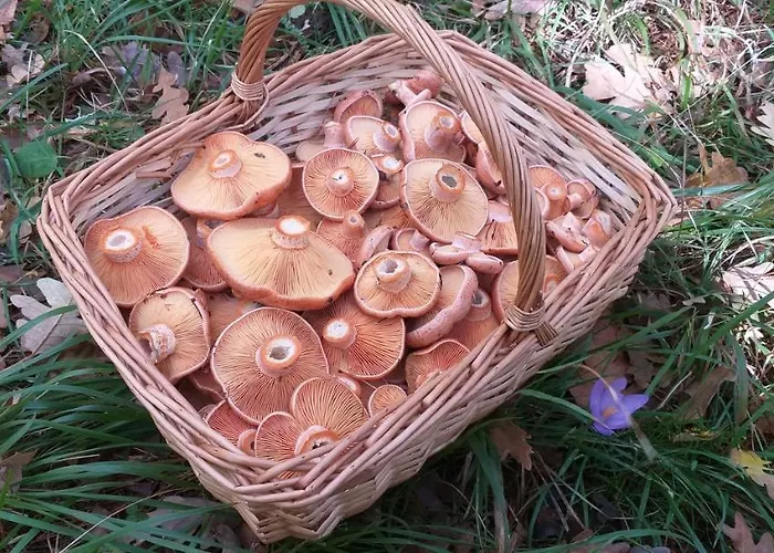 Rio Duero Vendégház